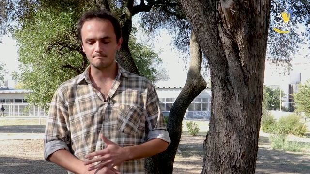 Com coragem - Miguel Duarte